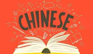 Chinese Language Curriculum: A Systematic and Pedagogical Overview