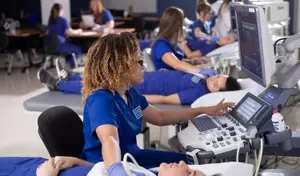 Sonographer Training: Concepts, Mechanisms, Clinical Context, and Perspectives