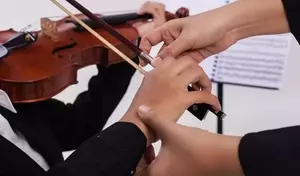 Violin Training: Concepts, Techniques, Pedagogy, and Perspectives