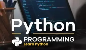 Python Development Training: Structure, Learning Mechanisms, and Industry Context