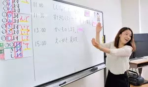Japanese Language Courses: Structure, Learning Systems, and Educational Context