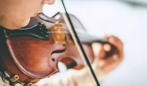 Violin Training: Fundamentals, Techniques, and Educational Approaches