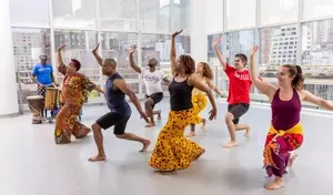 Dance Training: Concepts, Learning Processes, and Broader Context