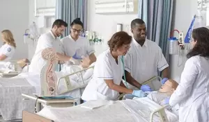 Understanding Nursing Training: Principles, Structure, and Mechanisms
