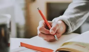 Writing Coaching Training: Foundations, Methods, and Educational Perspectives