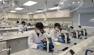 Medical Laboratory Training — Scientific Foundations, Operational Mechanisms, and Analytical Context