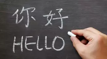 Chinese Language Courses: Foundations, Mechanisms, and Educational Context