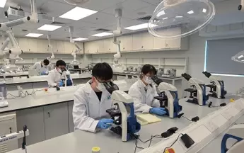 Medical Laboratory Training — Scientific Foundations, Operational Mechanisms, and Analytical Context