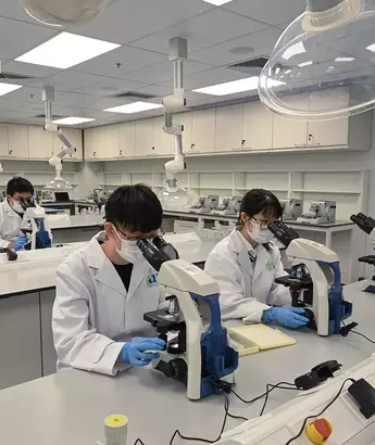 Medical Laboratory Training — Scientific Foundations, Operational Mechanisms, and Analytical Context