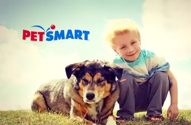 The PetSmart Promise: Diverse Services and Passionate Care for Your Pets