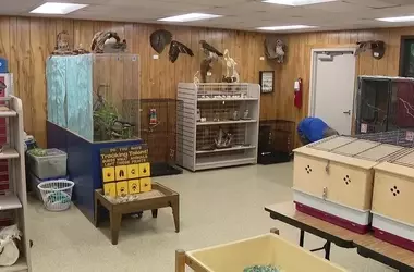 Florida's Unique Outdoor Learning Experience for Sixth Graders