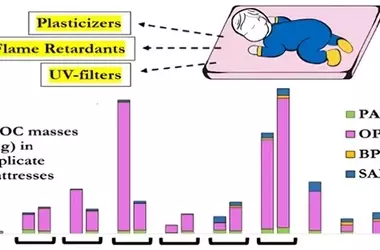 Potential Health Risks from Children's Mattresses: A Call for Stricter Safety Standards
