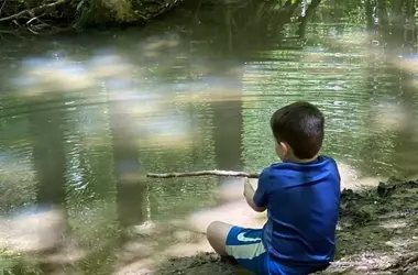 A Celebration of Nature: Encouraging Young Generations to Explore Parks