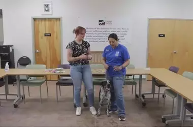 Empowering Young Hearts: El Paso's Unique Animal Advocacy Camp