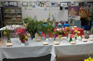 Young Gardeners Steal the Spotlight at Local Flower Show