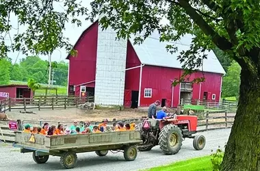 Healing Hearts: A Unique Camp for Grieving Children