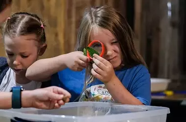 Exploring Nature Through Summer Camp Adventures at Macoskey Center