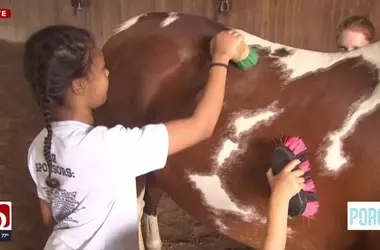 Summer Fun Awaits at the Enchanting Farm Camp