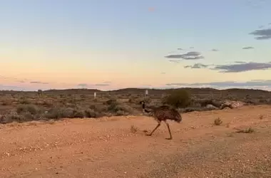 A Family Adventure Through the Australian Outback