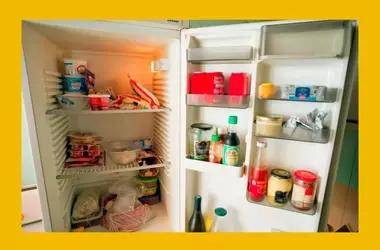 Generational Perspectives: The 'Millennial Flex' of a Garage Fridge Sparks Online Debate