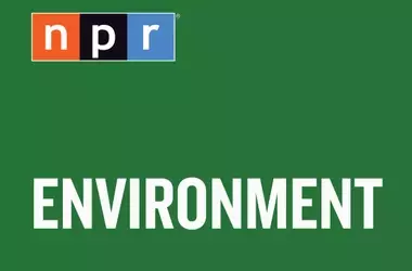 The Enduring Challenge of Sealing Abandoned Oil and Gas Wells Across the U.S.