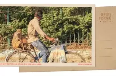 A Resonant Echo: Performing Monkeys in Delhi's Dynamic Landscape