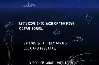 Unveiling the Ocean's Mysteries: A Deep Dive into its Ecological Zones