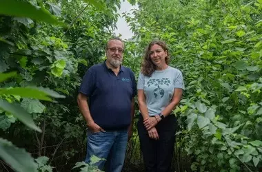 Microforests: A Breath of Fresh Air for Urban Environments