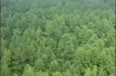 Russian Aircraft Goes Down in Far East