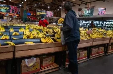 States Challenge USDA's Demand for Sensitive Food Aid Data