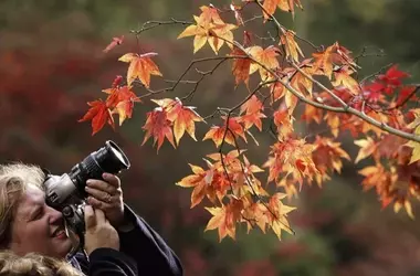 World Photography Day: Share Your Story Through Images