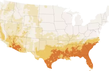 California's Unusually Cool Summer: A Climatic Anomaly Affecting the Golden State