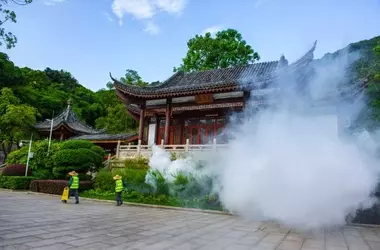 China's Aggressive Stance Against Chikungunya Outbreak: A Detailed Look