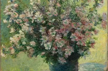 A Journey into Blurred Vision: Discovering Monet's World Through My Own Eyes