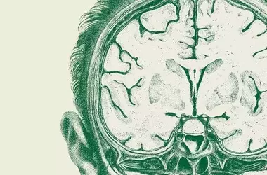 Navigating AI's Impact on Higher Education: A Critical Dialogue