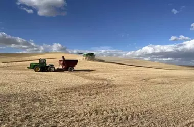 US Wheat Farmers Grapple with Trade Uncertainties Amid Tariff Landscape