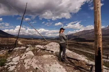 Jasper National Park: A Year After the Blaze, Lessons for Future Wildfire Management