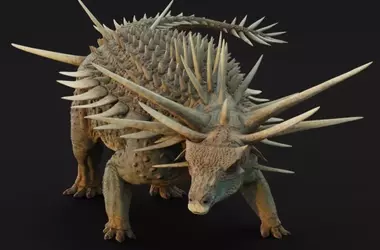 Unveiling the Spicomellus: A Spiked Enigma from Ancient Morocco