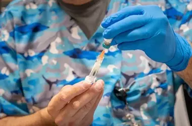 U.S. Measles Cases Surge Amidst Widespread Outbreaks