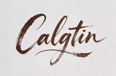 Modern Calligraphy: A Technical Analysis of Contemporary Scriptorium Practices