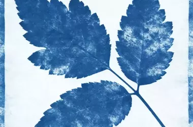 Cyanotype: The Photochemistry of Iron-Based Imaging