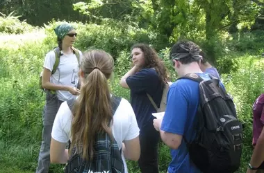 Environmental Science Master’s Programs: Advancing Knowledge and Careers in Environmental Protection