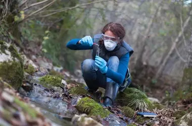 Climate Science Programs: Preparing Professionals to Address Global Climate Challenges