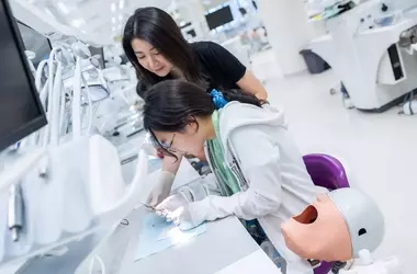 Dental Education: A Systematic and Academic Overview