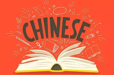 Chinese Language Curriculum: A Systematic and Pedagogical Overview
