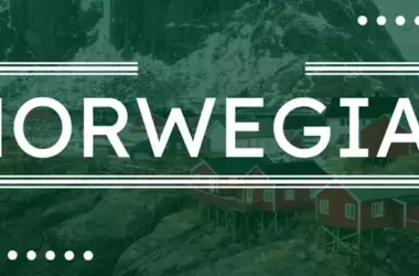 Online Norwegian Language Courses: A Scientific Overview of Concepts, Learning Mechanisms