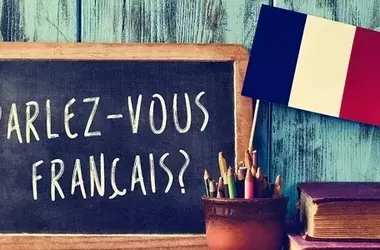 French Language Courses: Structure, Learning Mechanisms, and Educational Context