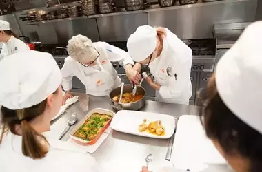 Navigating the World of Culinary School: A Practical Guide