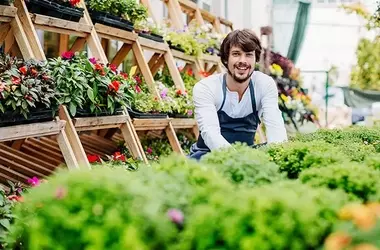 Horticulture Courses: Principles, Learning Mechanisms, and Educational Applications