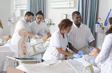 Understanding Nursing Training: Principles, Structure, and Mechanisms